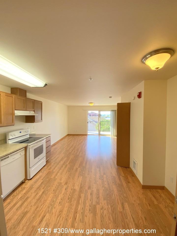 1521 - Photo 2 of 50