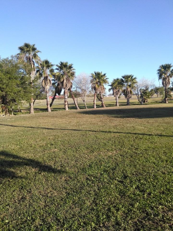 Oak Terrace Apartments - Photo 7 of 50