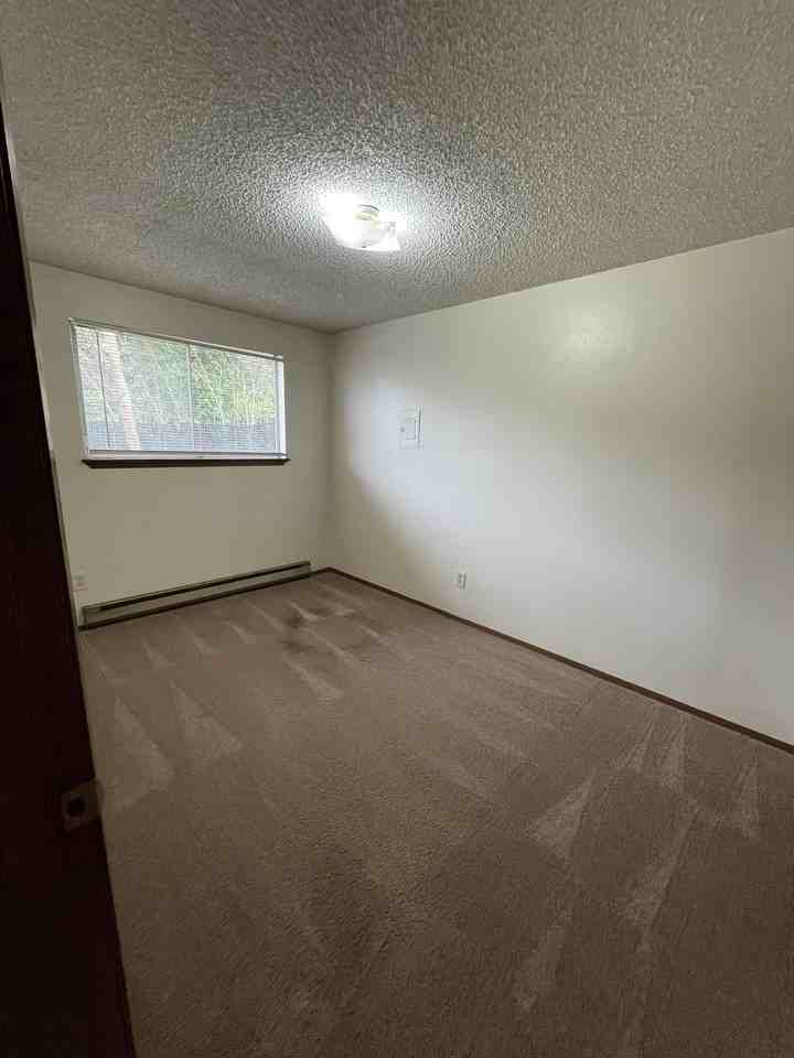 P129B - Photo 7 of 7