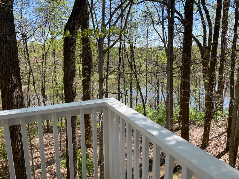 10703 Hampton Mill Ter #230 - Photo 2 of 15