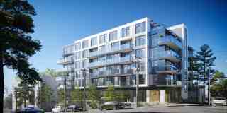 The Grand Lion - Photo 1 of 1