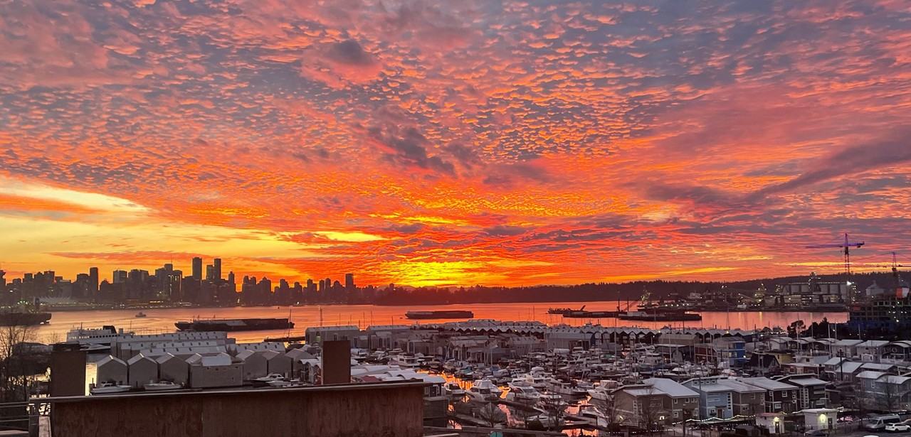 The Grand Lion - Photo 3 of 4