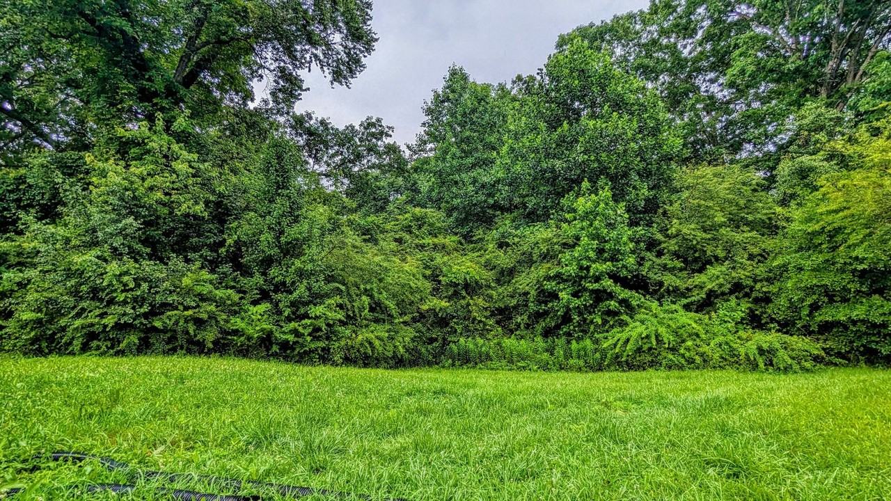 99 Center Grove Dr - Photo 4 of 24