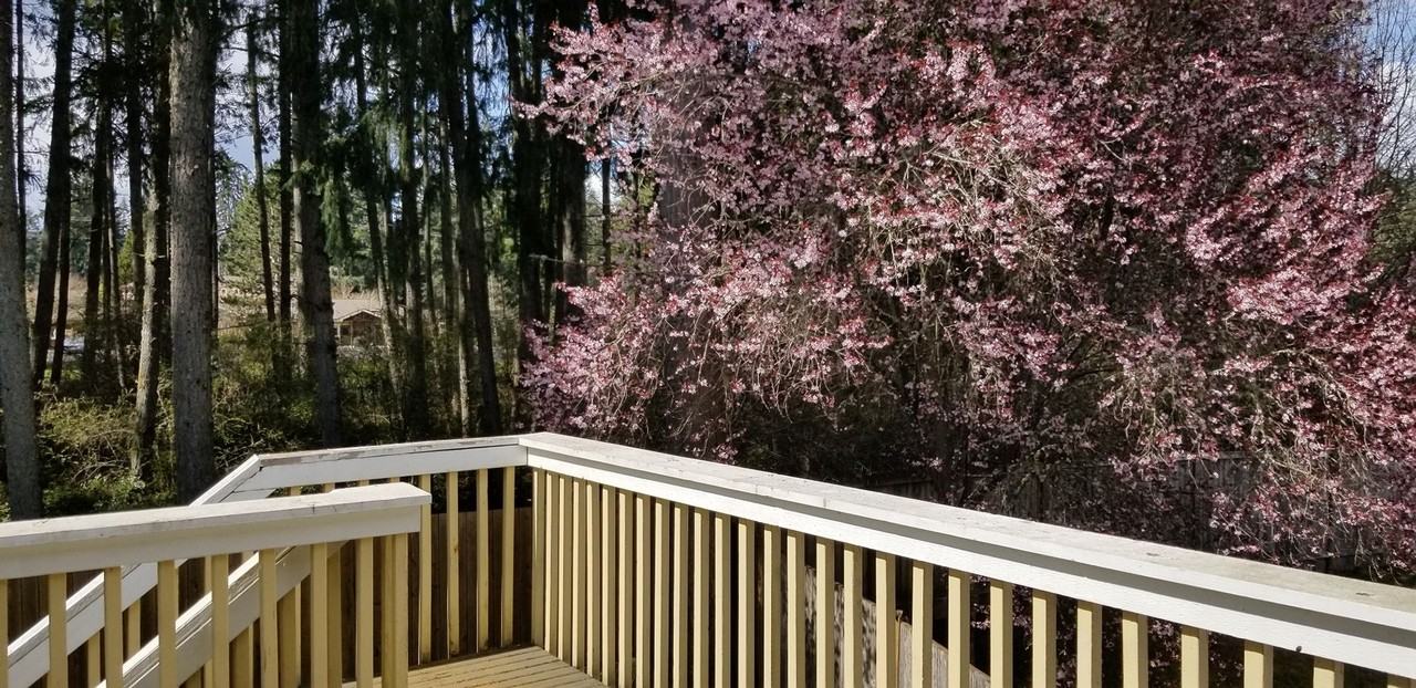 4315 Cedar Ct Se - Photo 5 of 41
