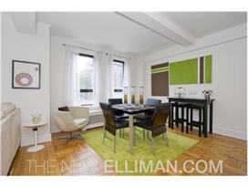 235 W 102nd St Unit 7N  