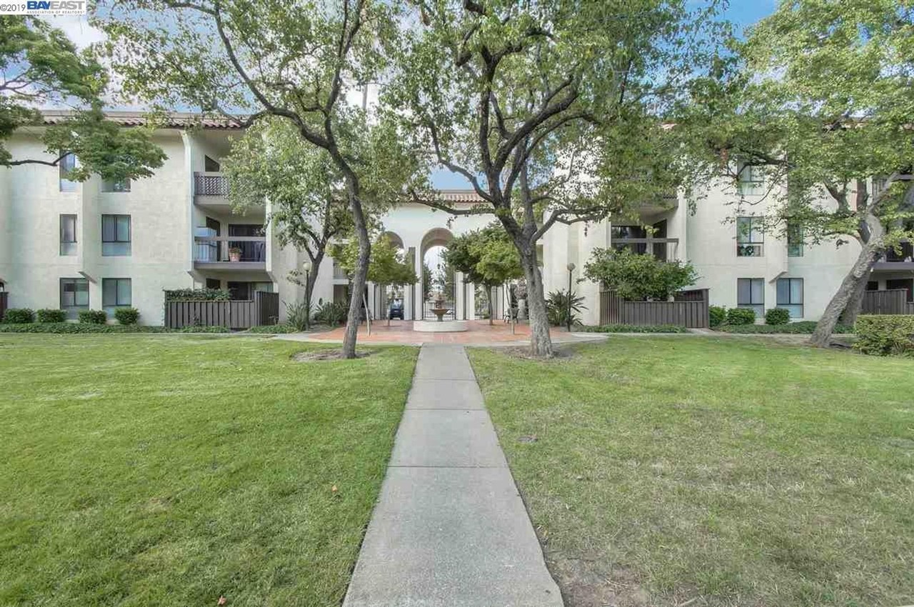 39931 Cedar Blvd #203 - Photo 4 of 32