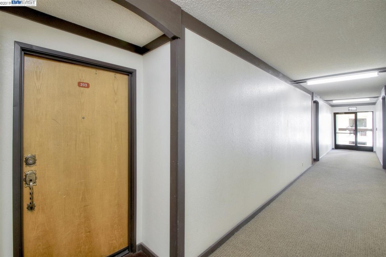 39931 Cedar Blvd #203 - Photo 5 of 32