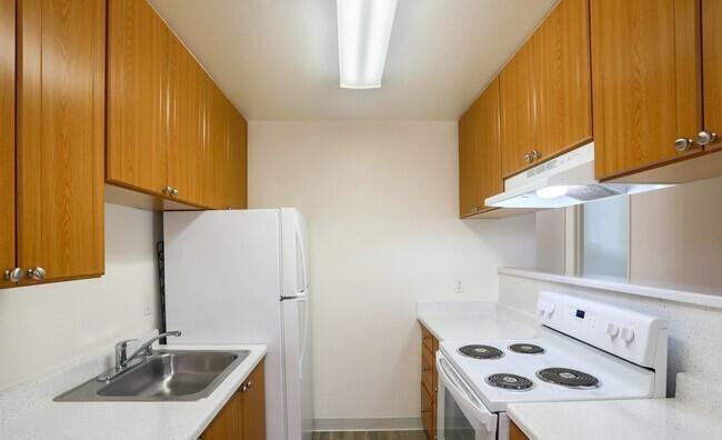 1930 Almaden Road - Photo 5 of 12