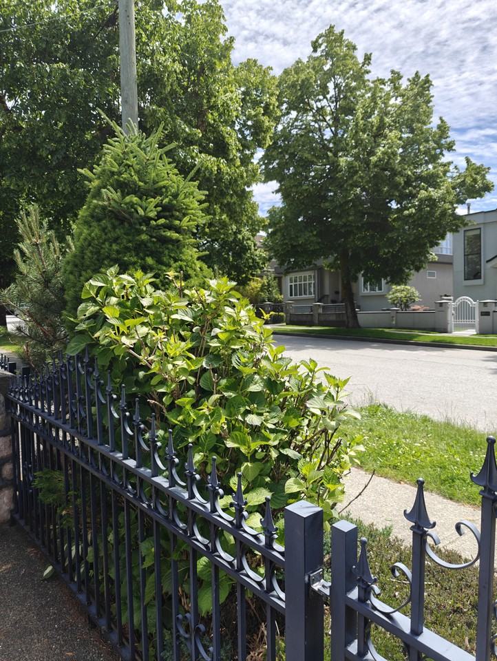 3311 East 45th Avenue - Photo 4 of 16