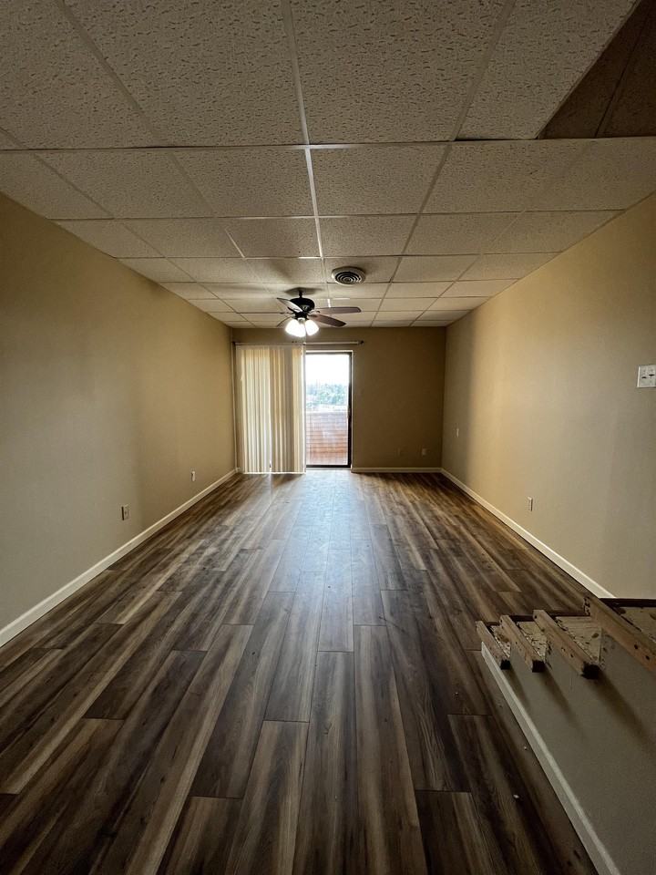 438 Olympia Dr - Photo 5 of 25