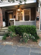 2 bedroom / 1 bath ~ Downtown Charleston - Photo 1 of 1