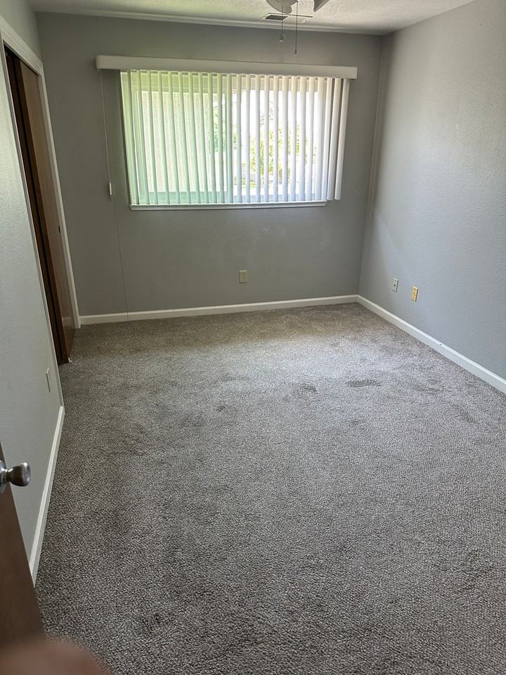 Pine Street Apartments - Photo 7 of 11