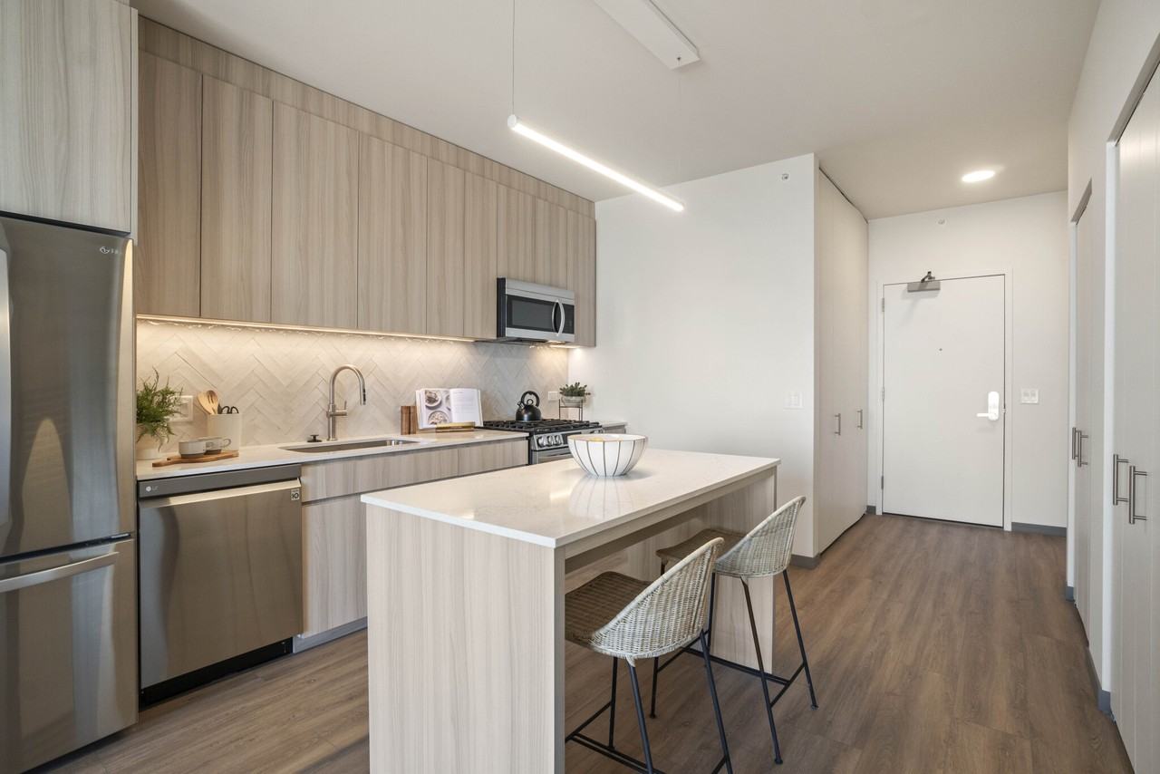 513 S Damen Ave #1-1 - Photo 2 of 31