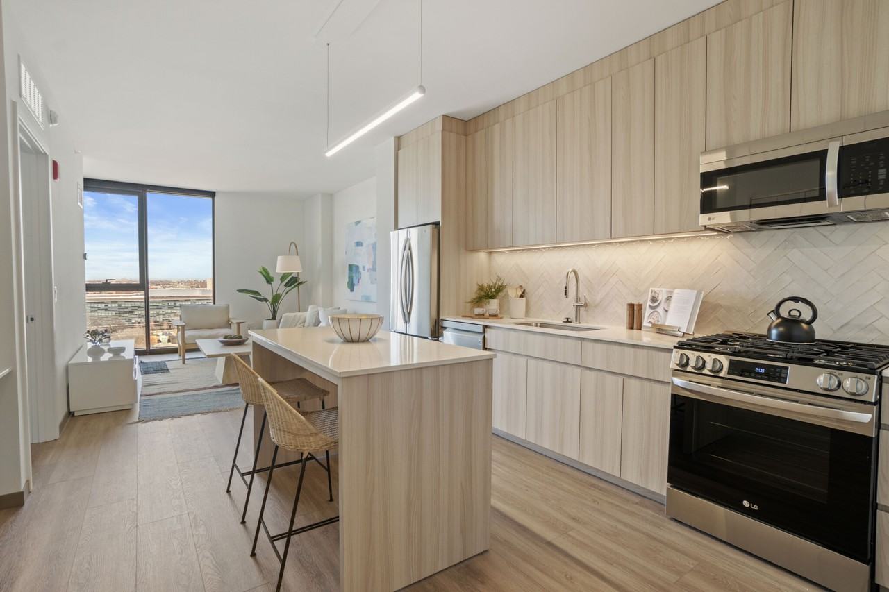 513 S Damen Ave #1-1 - Photo 3 of 31