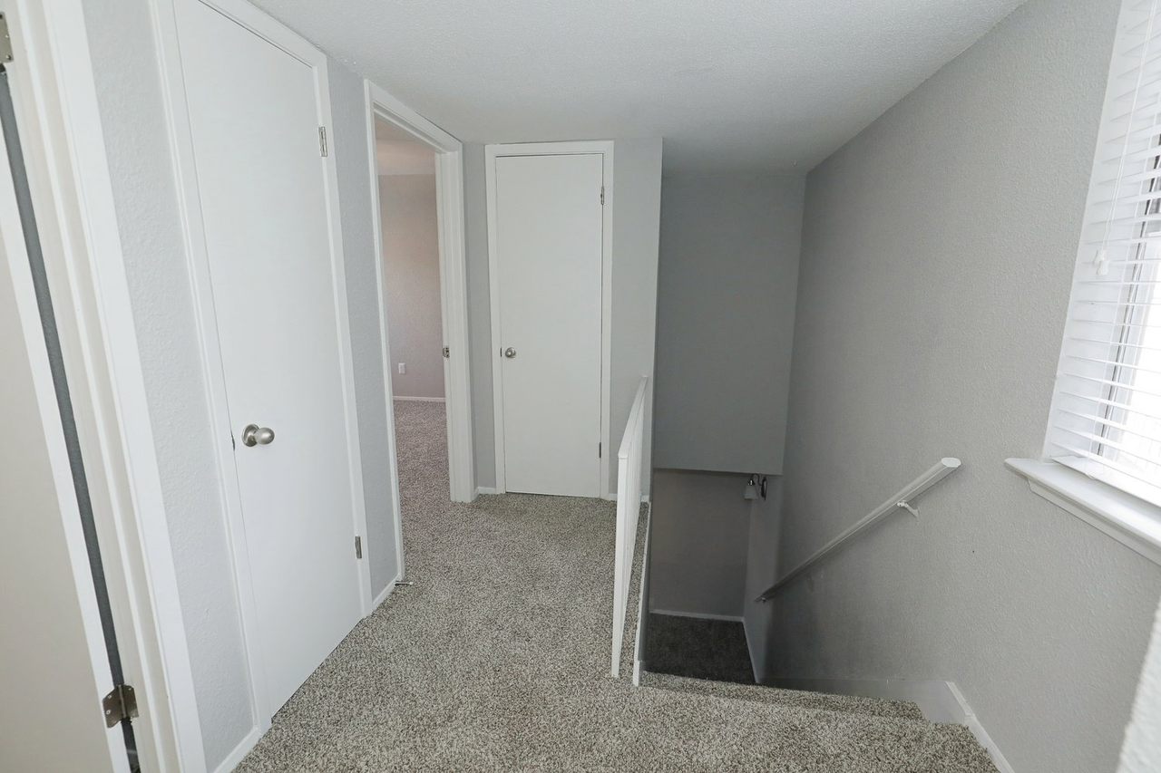 Oasis - Photo 2 of 29