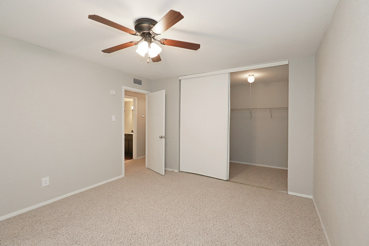 Oasis - Photo 7 of 29