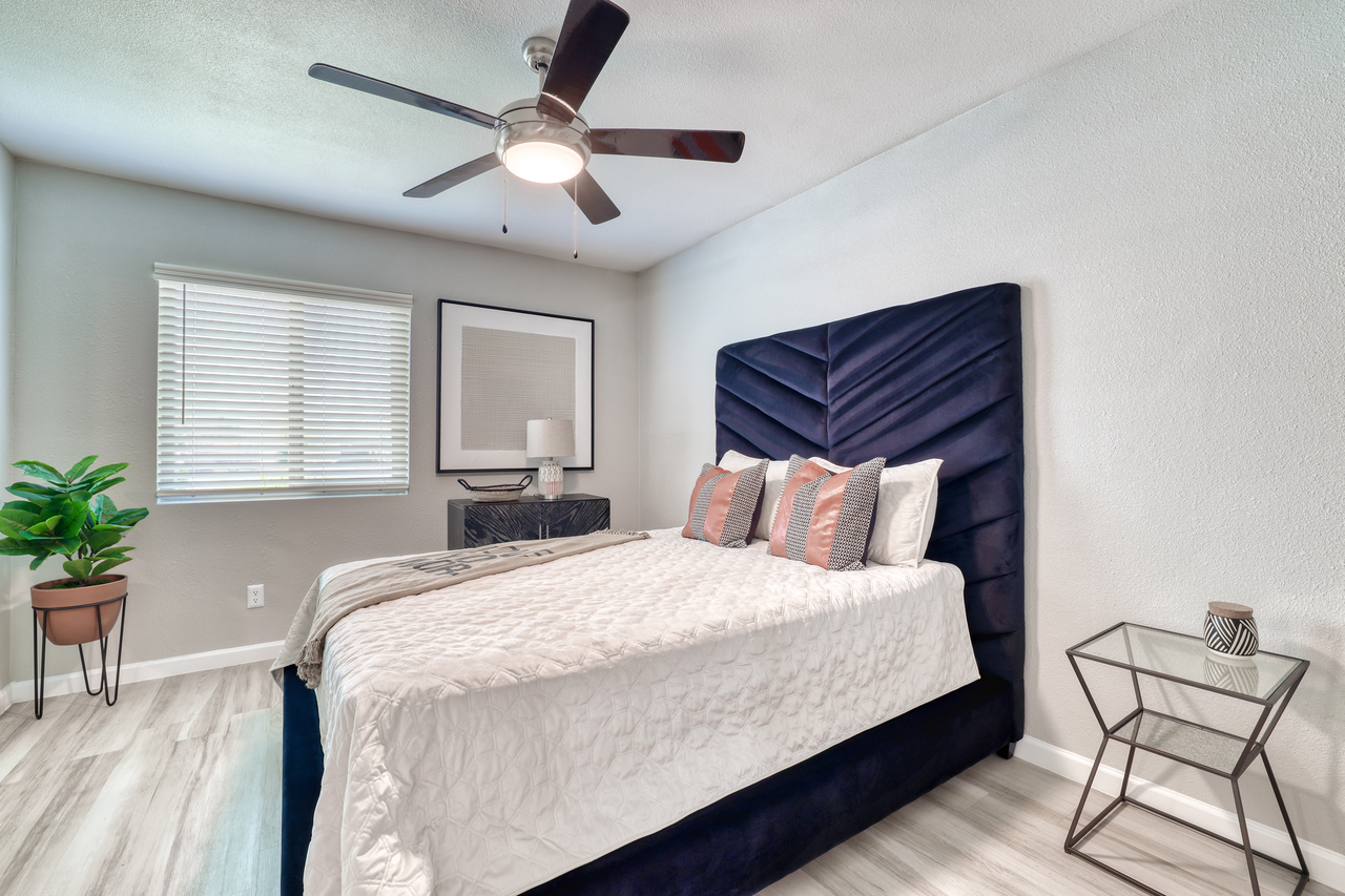 The Palmer - Photo 5 of 27