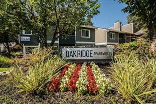 Oak Ridge Apartments - Photo 1 of 1