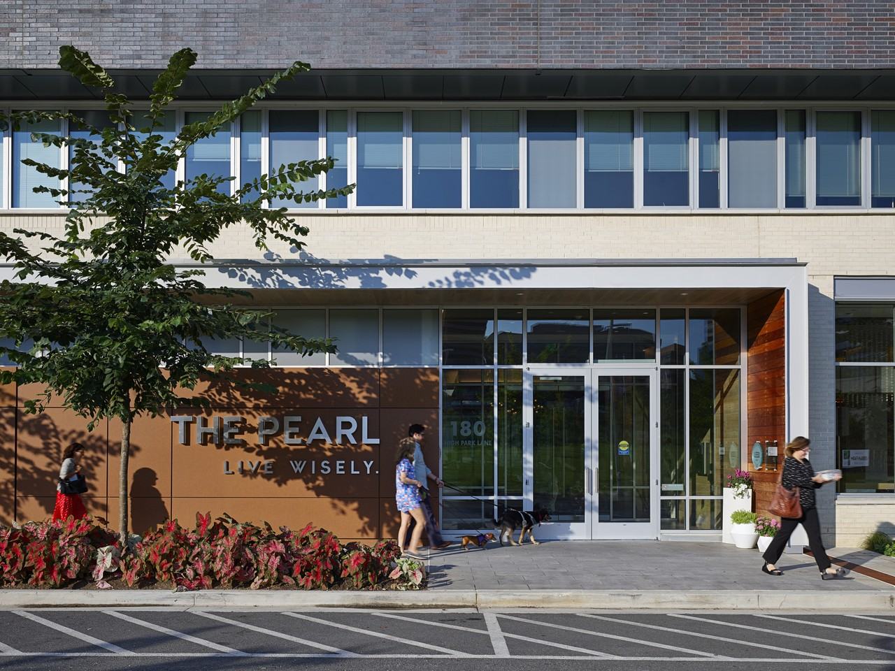 The Pearl - Photo 7 of 42