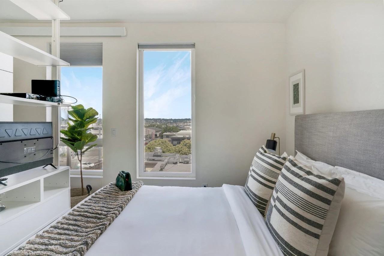 Werner - Photo 2 of 20