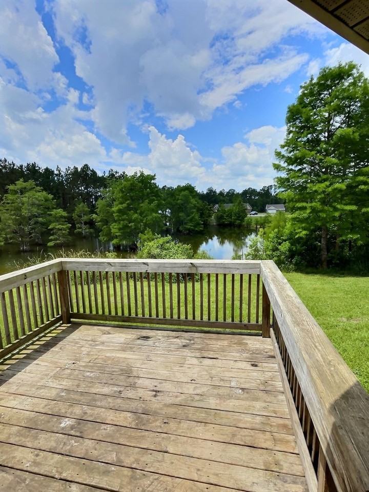 15091 Audubon Lake Blvd - Photo 3 of 14