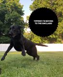 Ruby Sinclair LLC - Photo 1 of 1