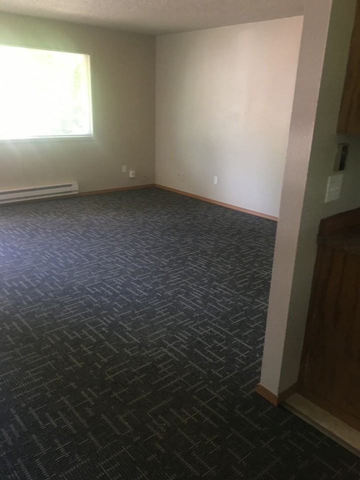 114 Looking Glass Ct - Photo 3 of 10