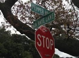 701 Ia Raye Lane - Photo 5 of 36