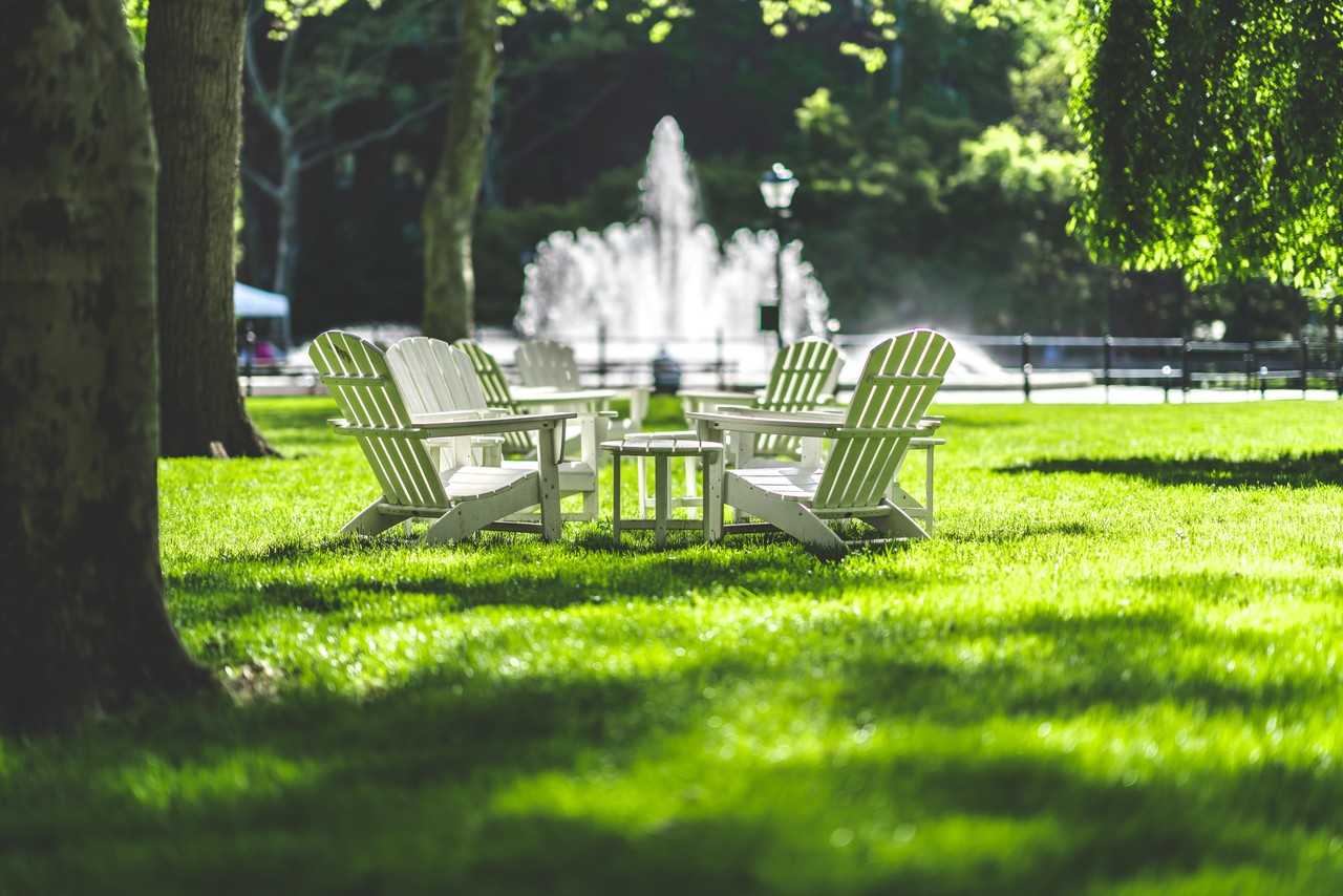 StuyTown - Photo 2 of 50