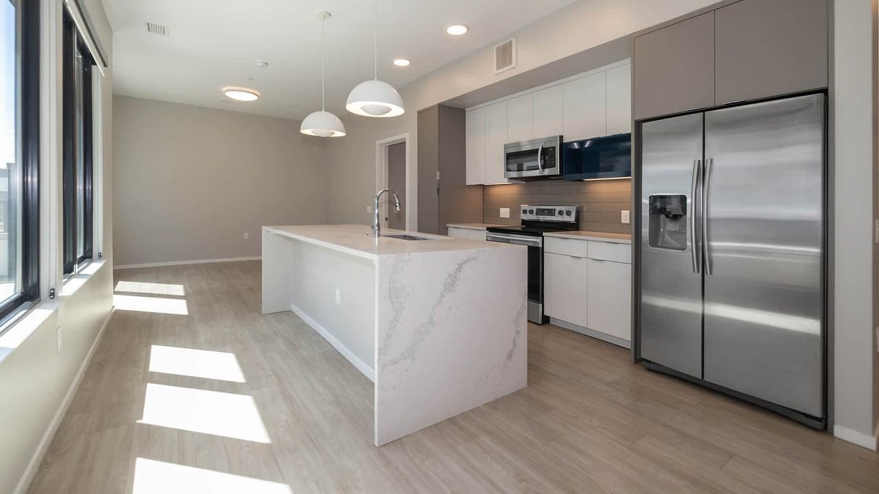 Milo - Photo 6 of 28