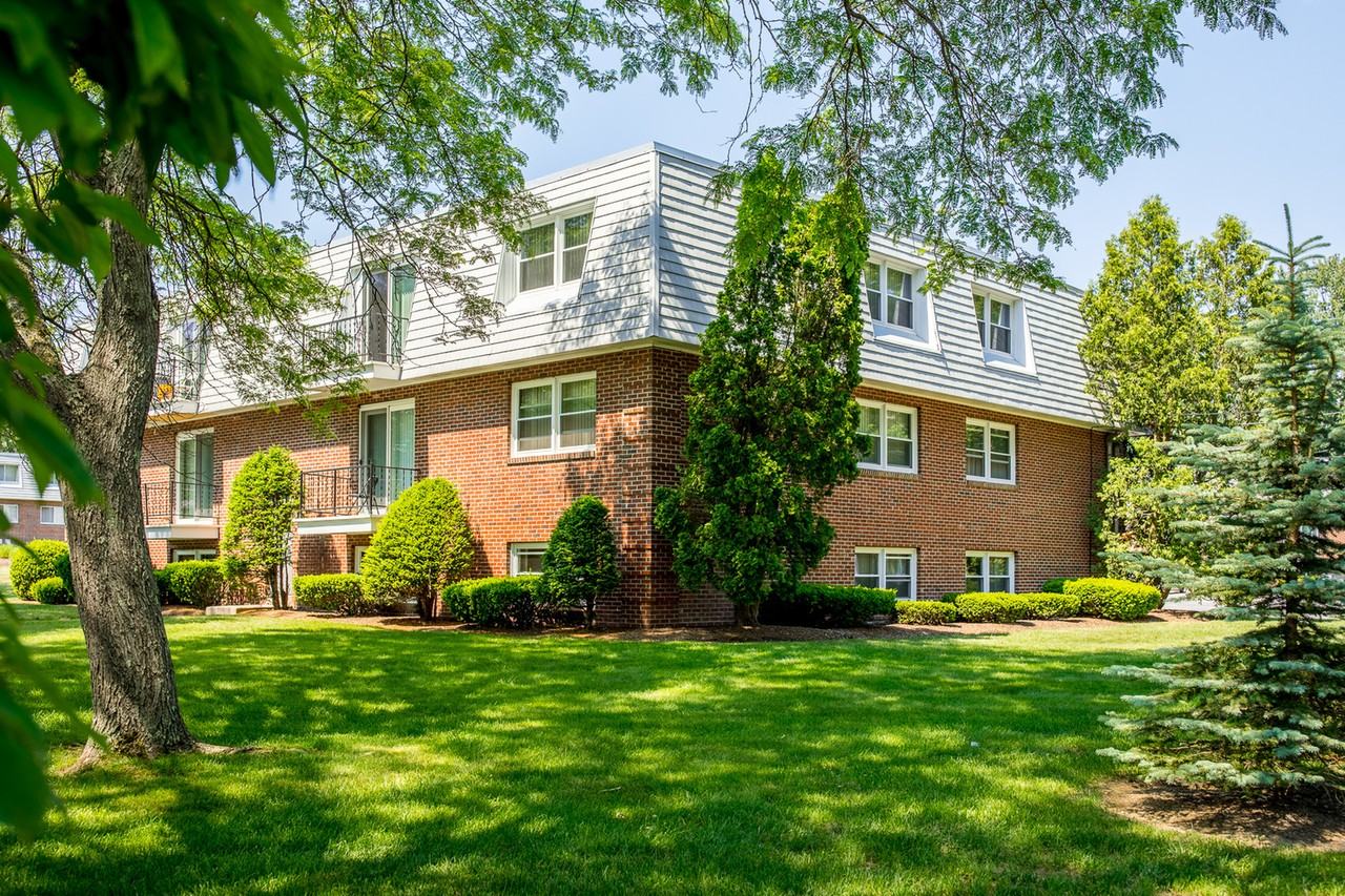 Princeton Pines - Photo 2 of 17