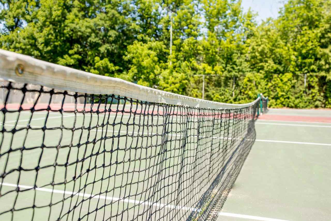 Princeton Pines - Photo 7 of 17