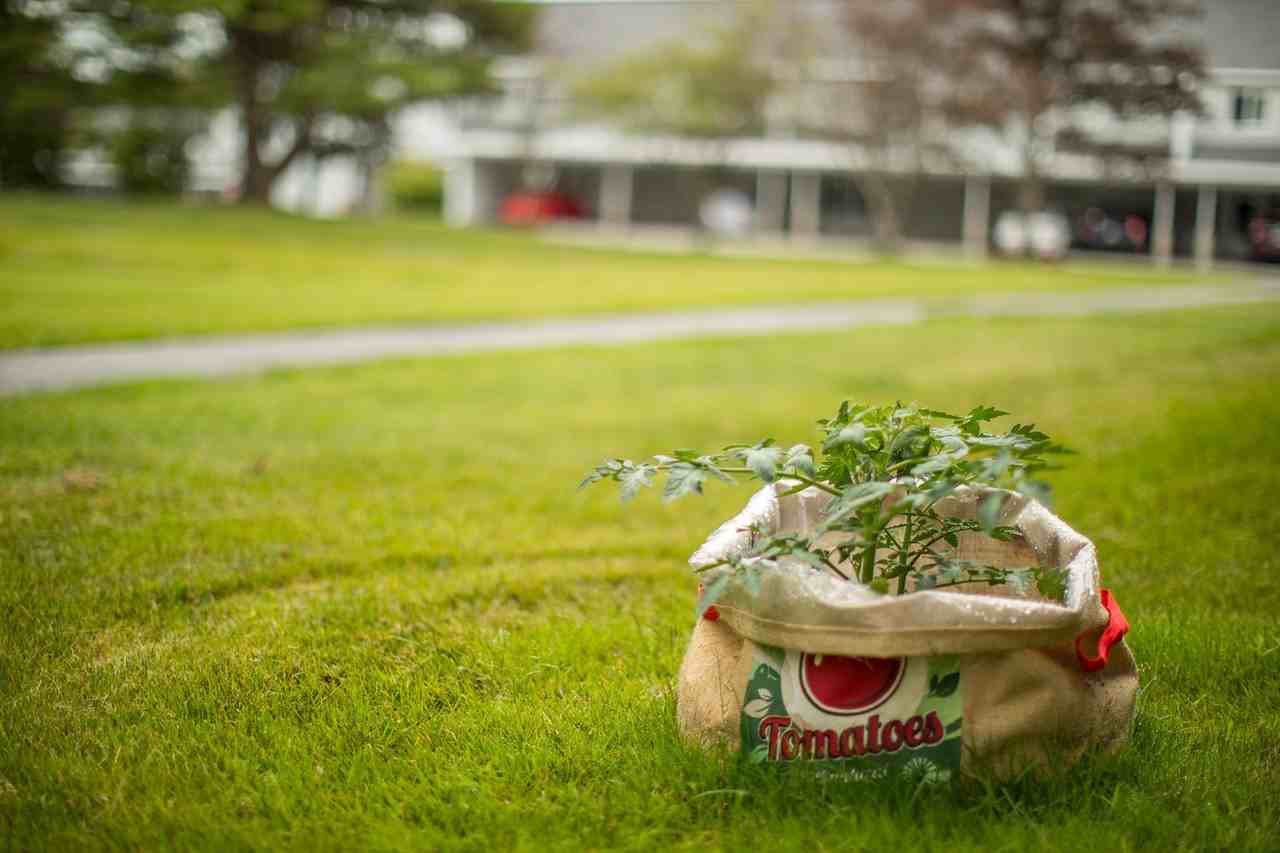 Foreside Estates - Photo 5 of 45