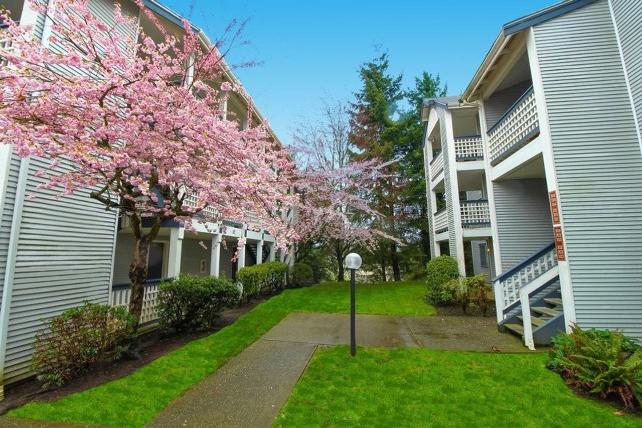 Arbour Court - Photo 2 of 25