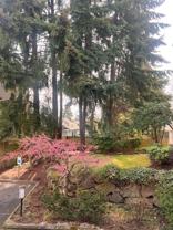 Lakeview Court Apartments - Photo 1 of 1