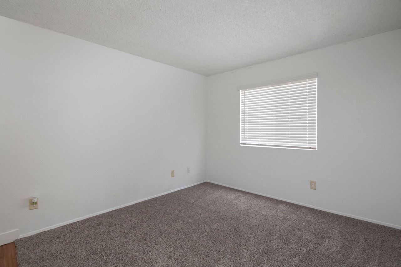 3 bed 2 bath in the heart of San Diego - Photo 3 of 14