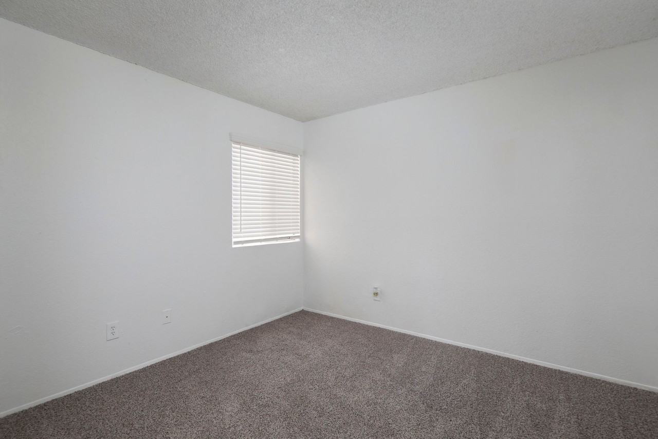 3 bed 2 bath in the heart of San Diego - Photo 5 of 14