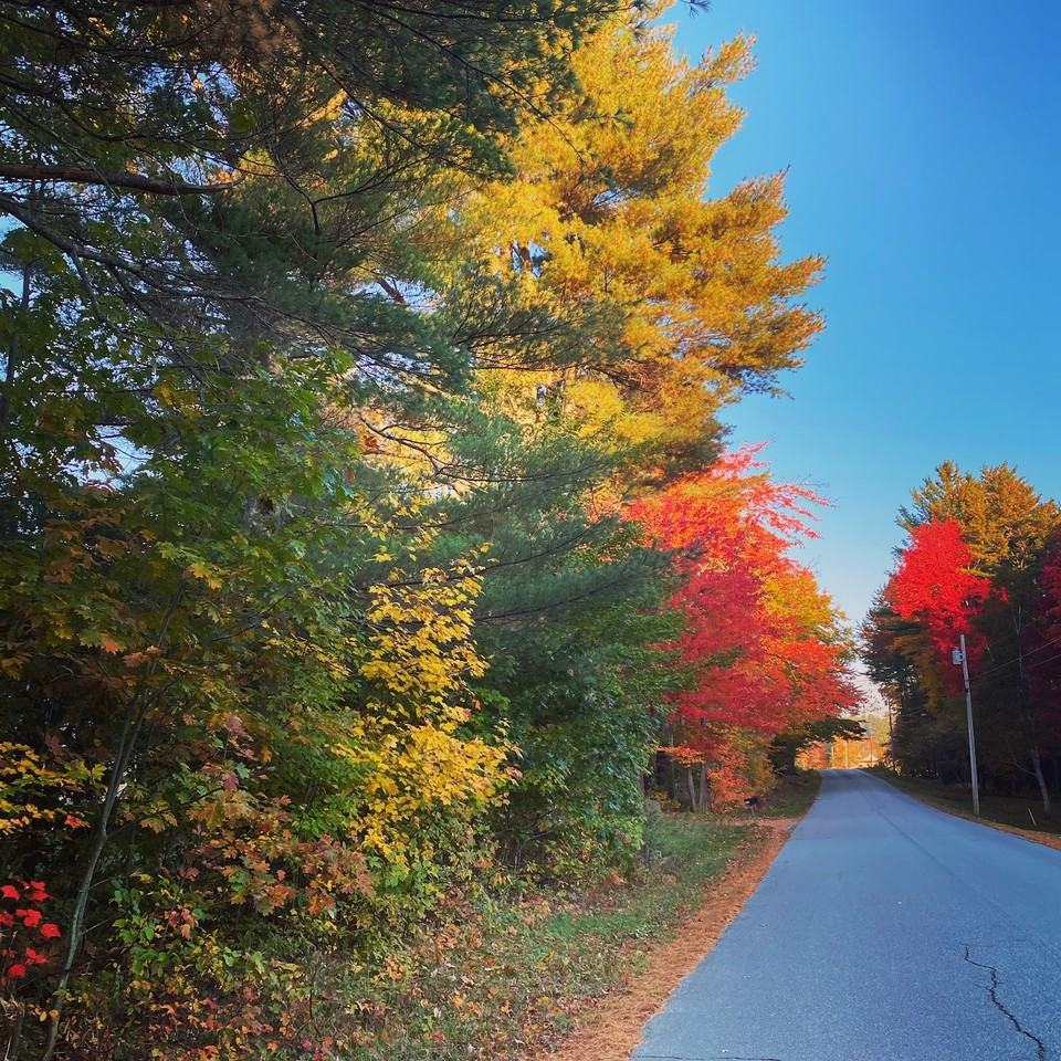 139 Jesse Robbins Rd #NA - Photo 2 of 5