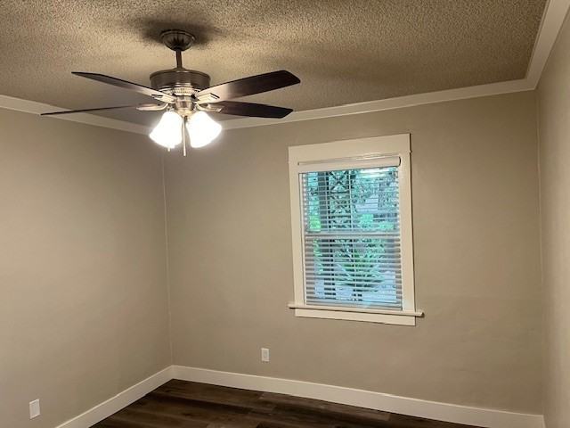 4171 Georgia Street #1/2 - Photo 3 of 13