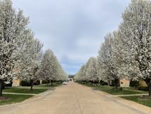 4244 Fatima Drive #3 - Photo 1 of 1