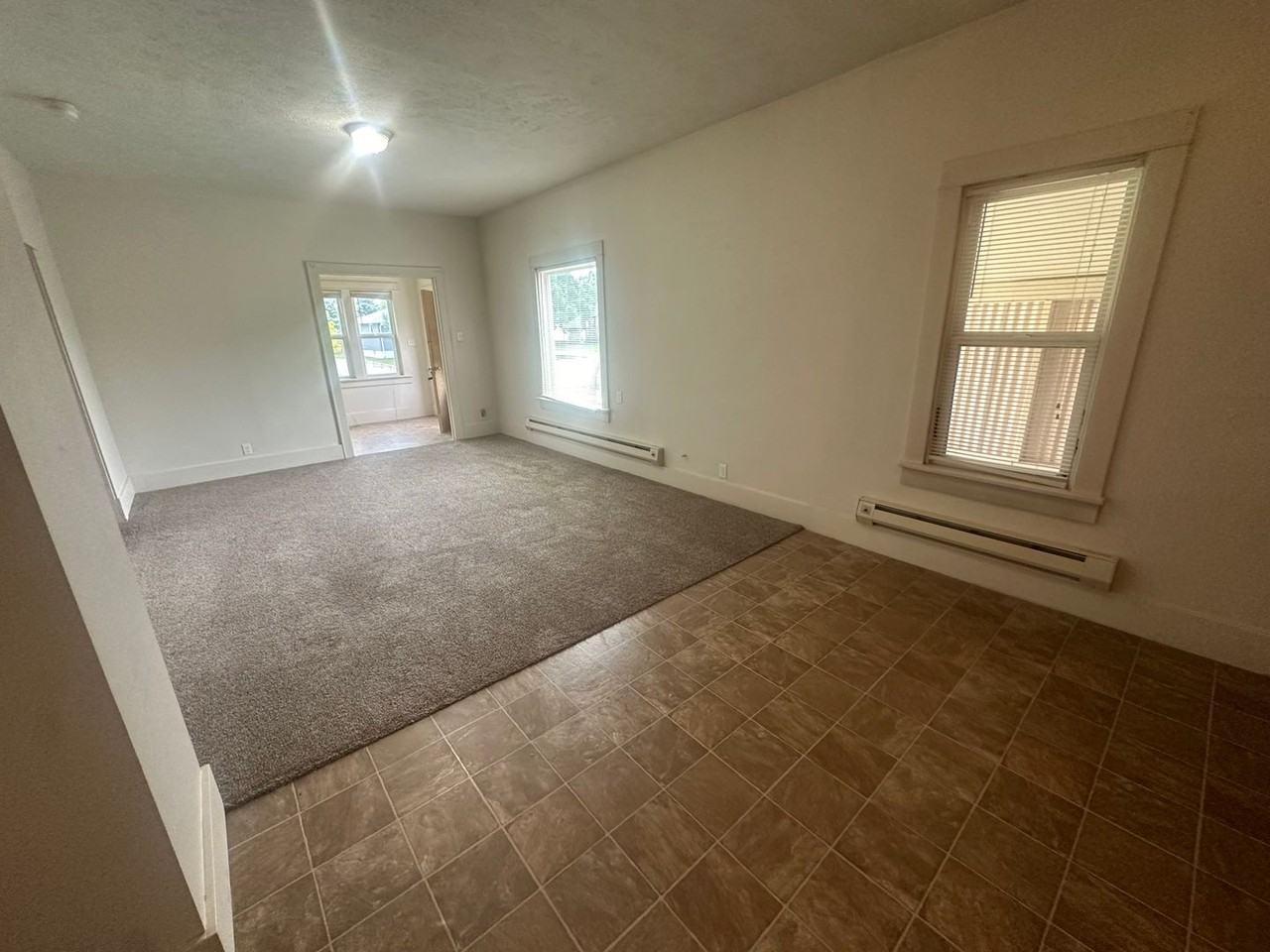 Irish Rose - 5th St Apartments - Photo 3 of 10