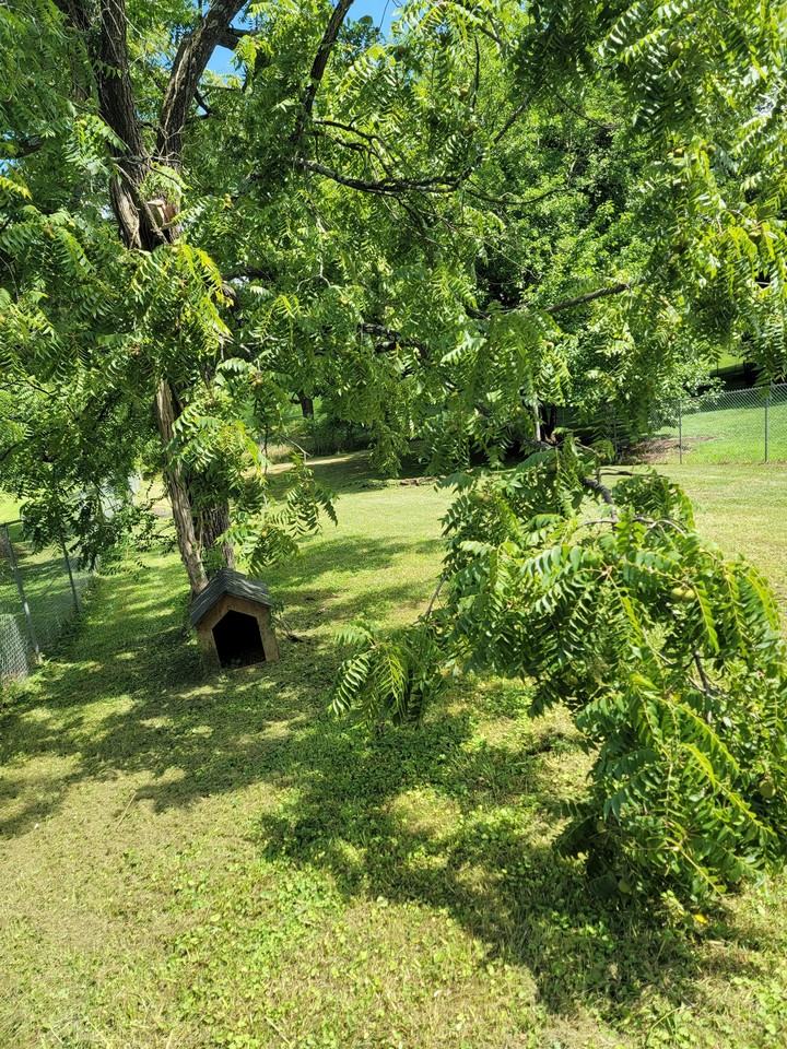 621 N Fulton St #1 - Photo 2 of 10