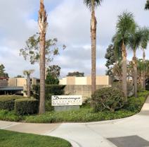 777Domi - Photo 1 of 1