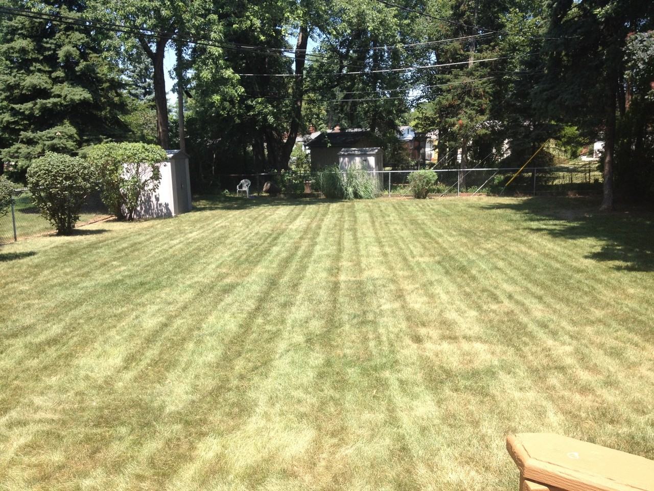 35936 Joy Rd - Photo 5 of 14