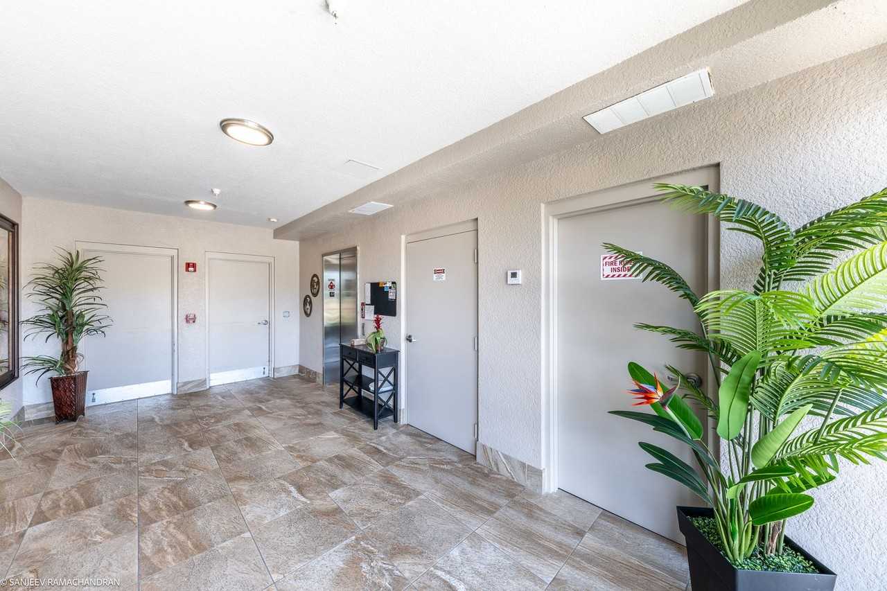 3322 Purple Martin Dr - Photo 3 of 48