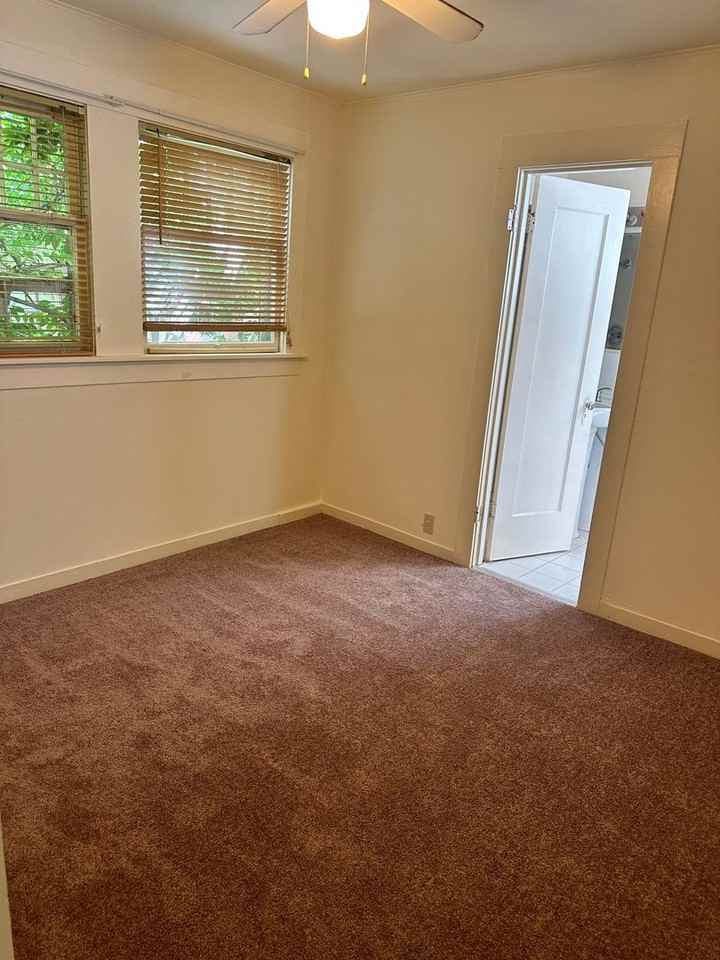 Archer - Photo 3 of 5