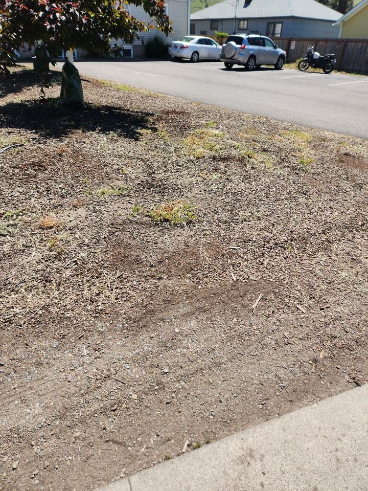 300-320 Kiwanis St - Photo 3 of 5