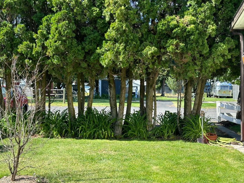 712 Se Railroad Ave #26A - Photo 3 of 10