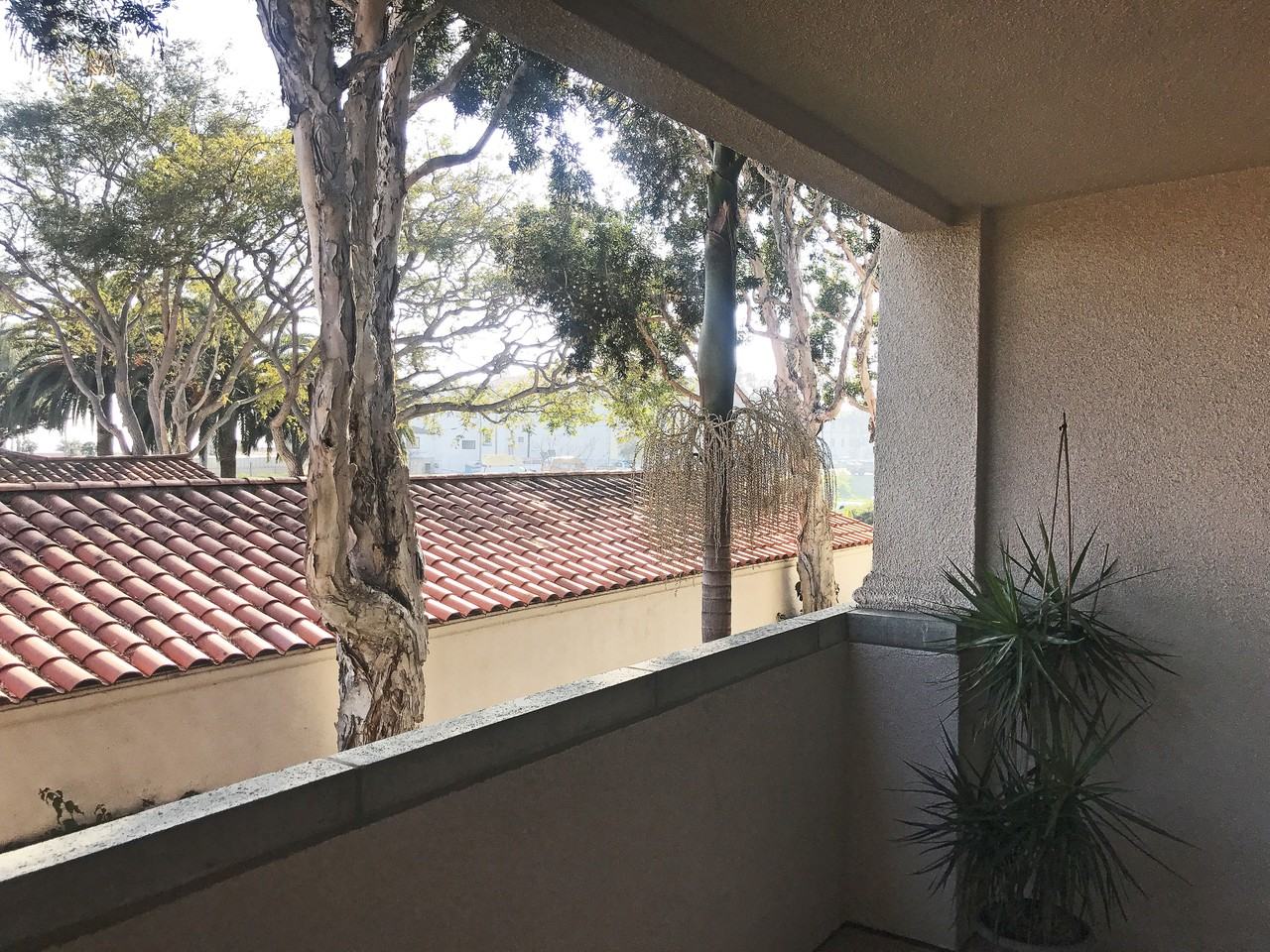 431 Por La Mar Cir #434 - Photo 3 of 24