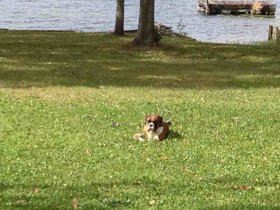 1604 Haven Bnd #NA - Photo 3 of 5